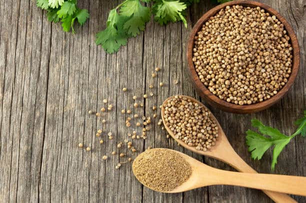 تصویر 2 از قیمت تخم گشنیز مرغوب + خرید باور نکردنی